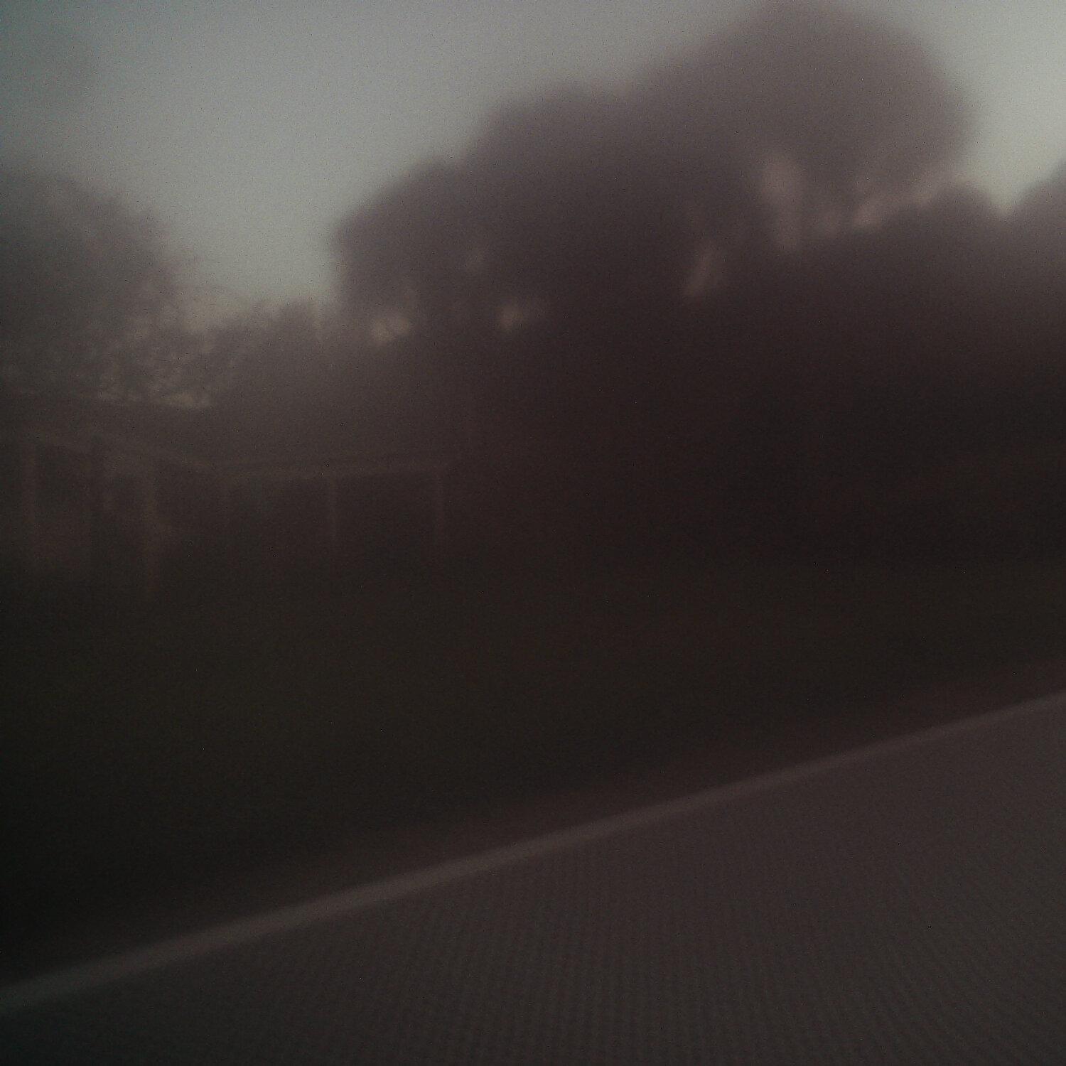 A photo captured from the webcam at the time the audio was recorded