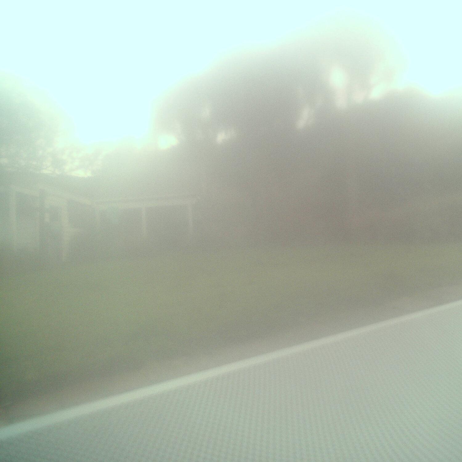 A photo captured from the webcam at the time the audio was recorded