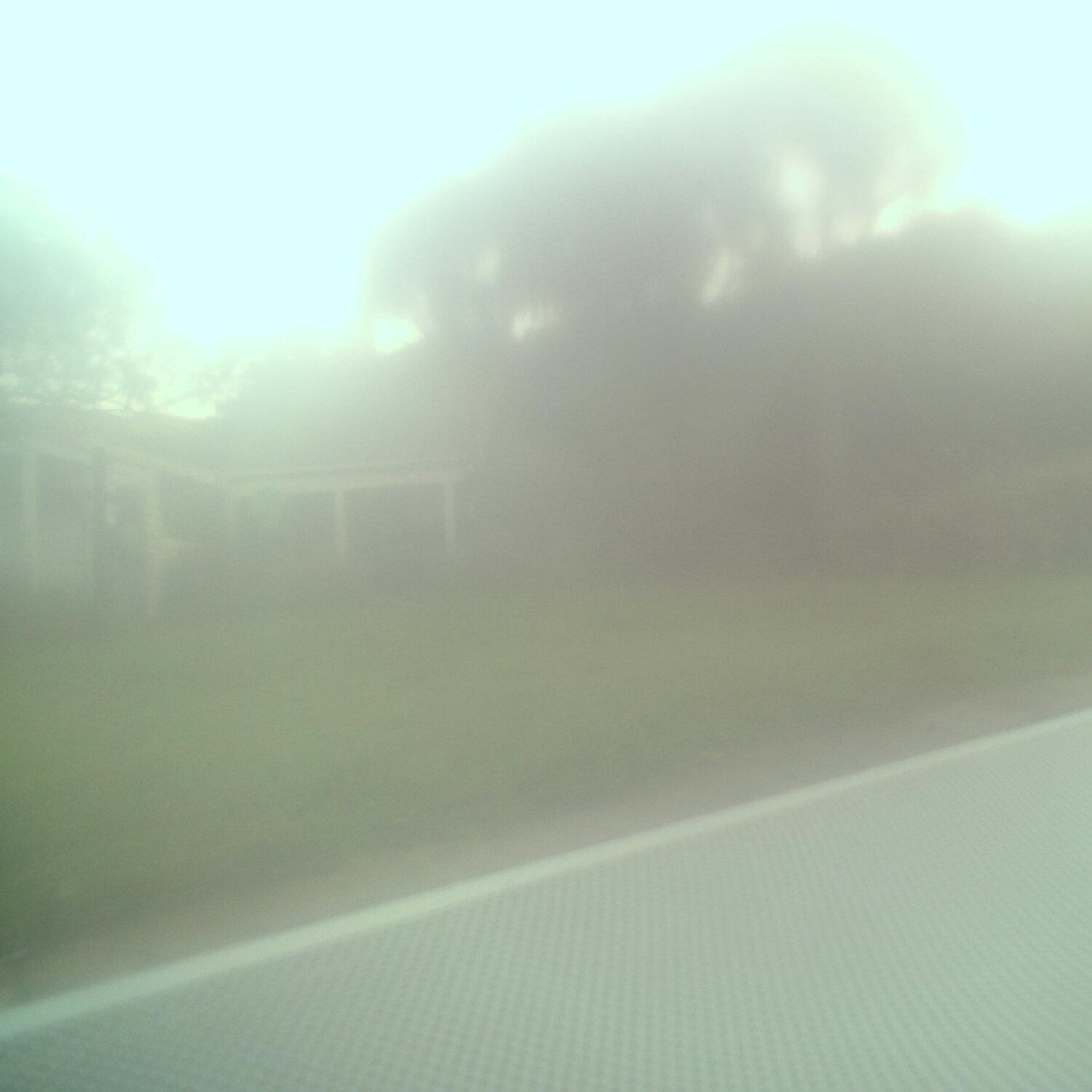 A photo captured from the webcam at the time the audio was recorded