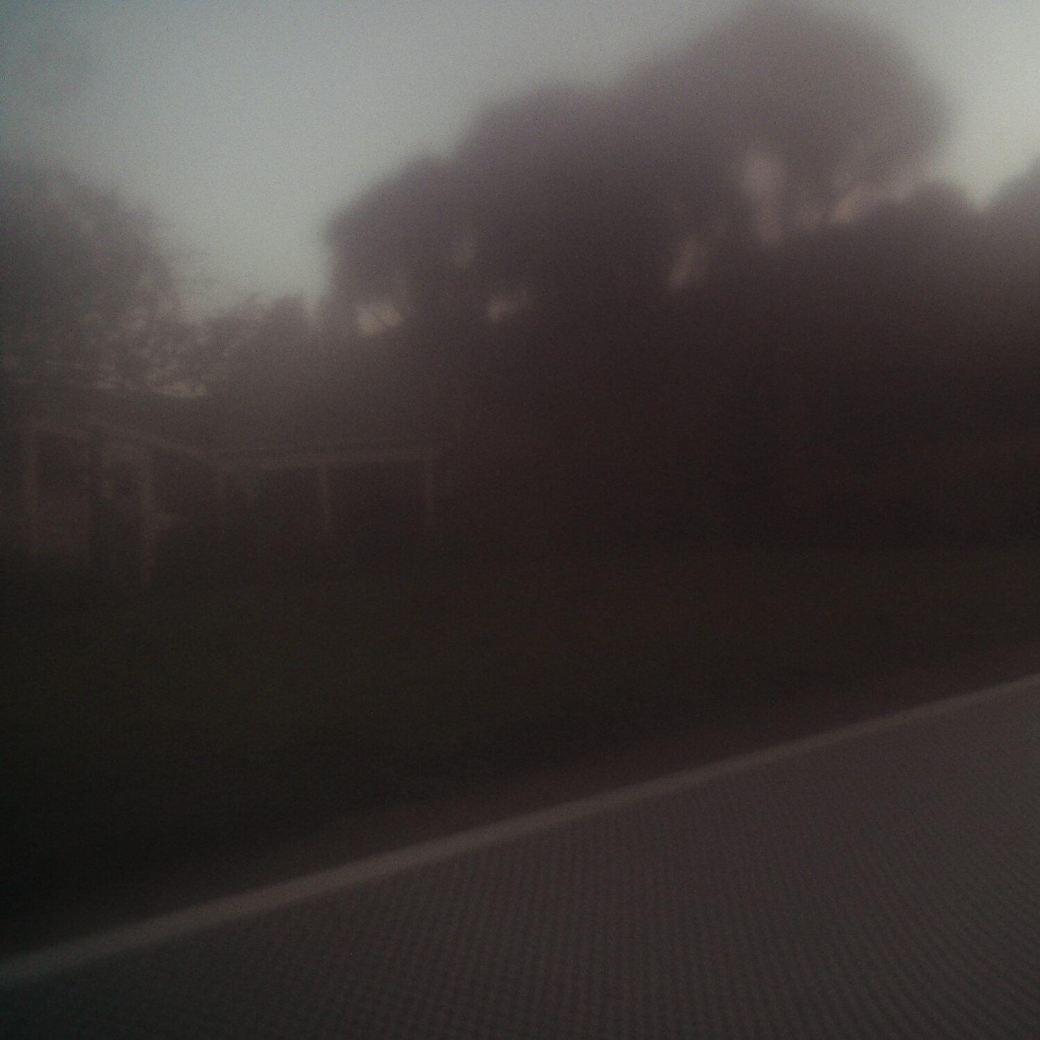 A photo captured from the webcam at the time the audio was recorded
