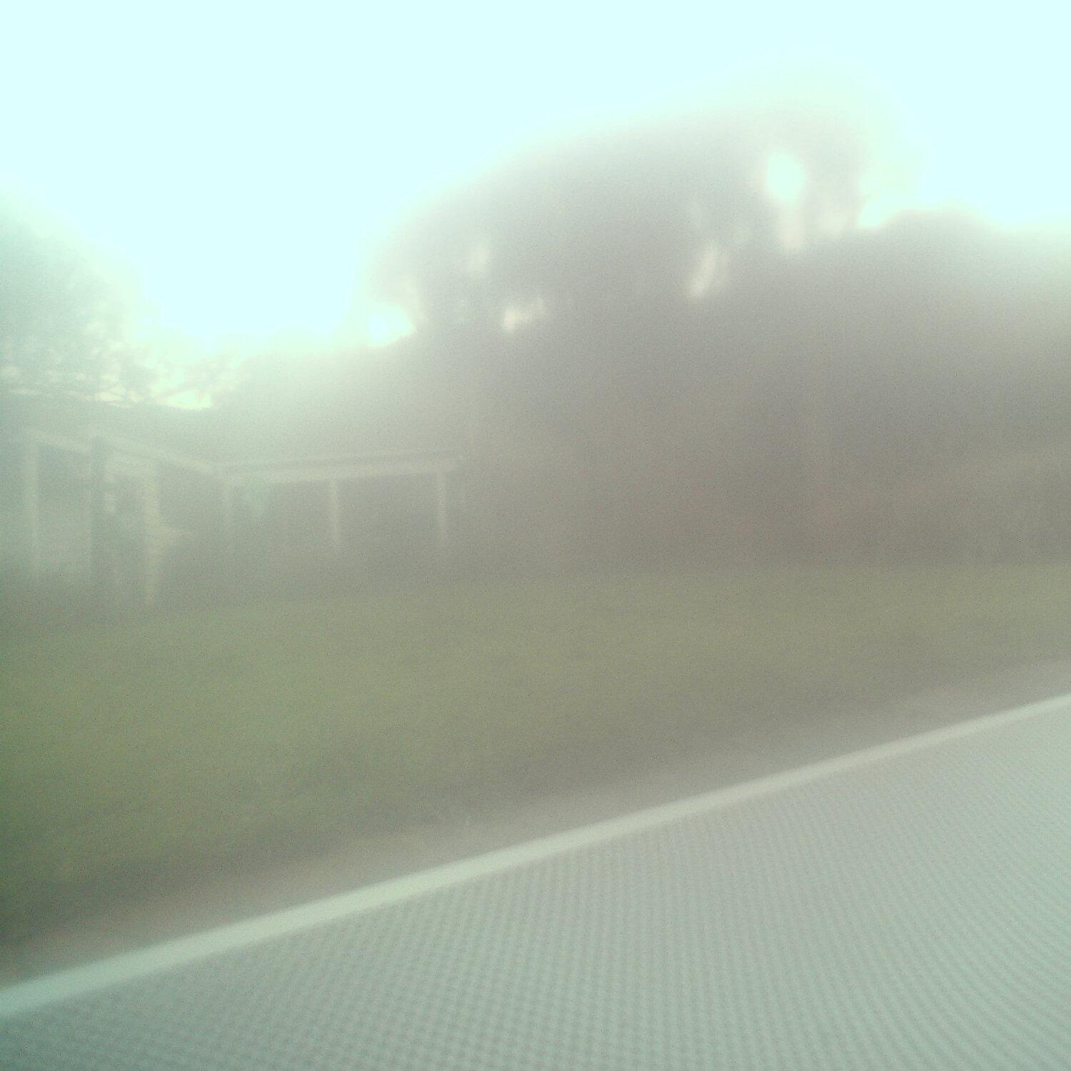 A photo captured from the webcam at the time the audio was recorded