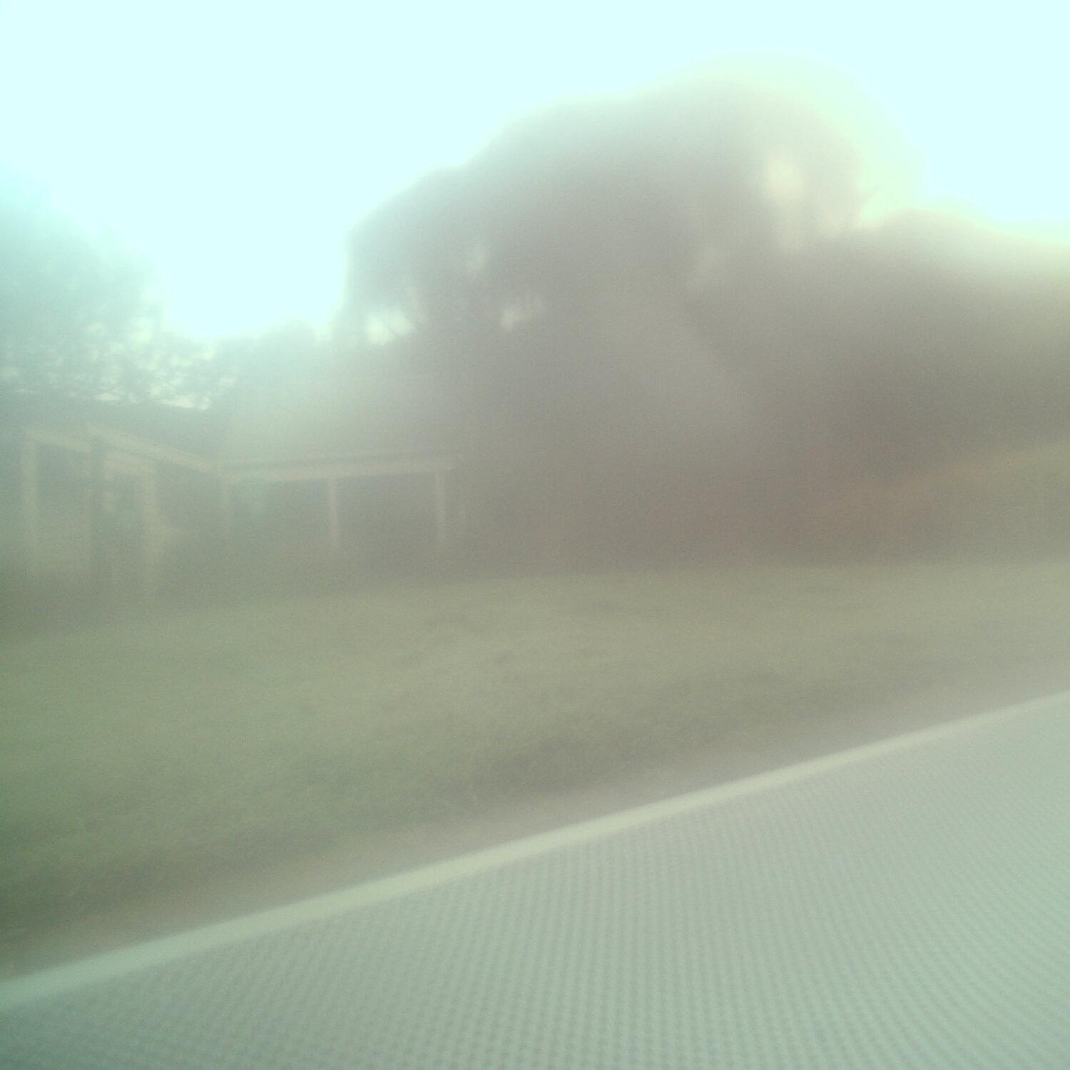 A photo captured from the webcam at the time the audio was recorded