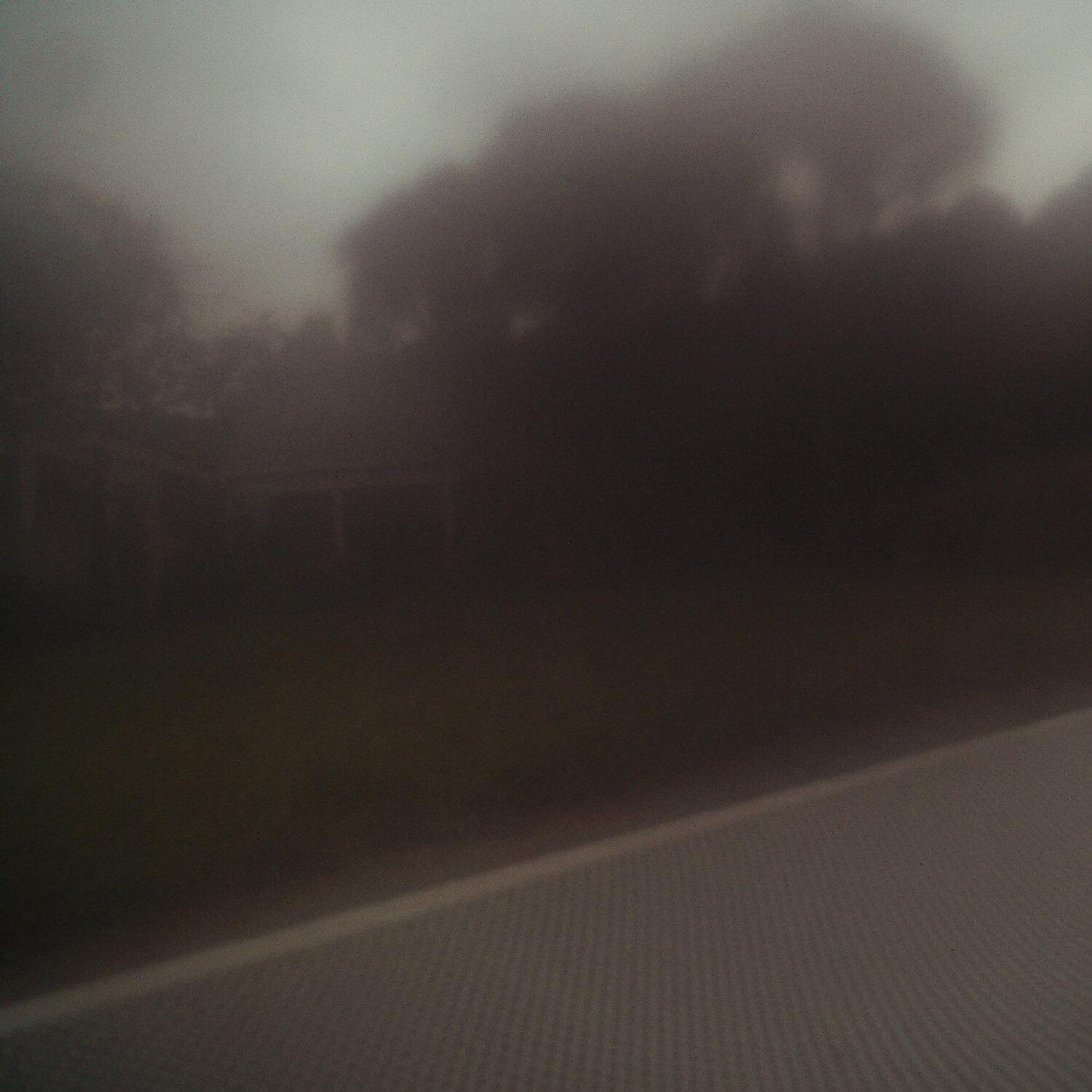 A photo captured from the webcam at the time the audio was recorded