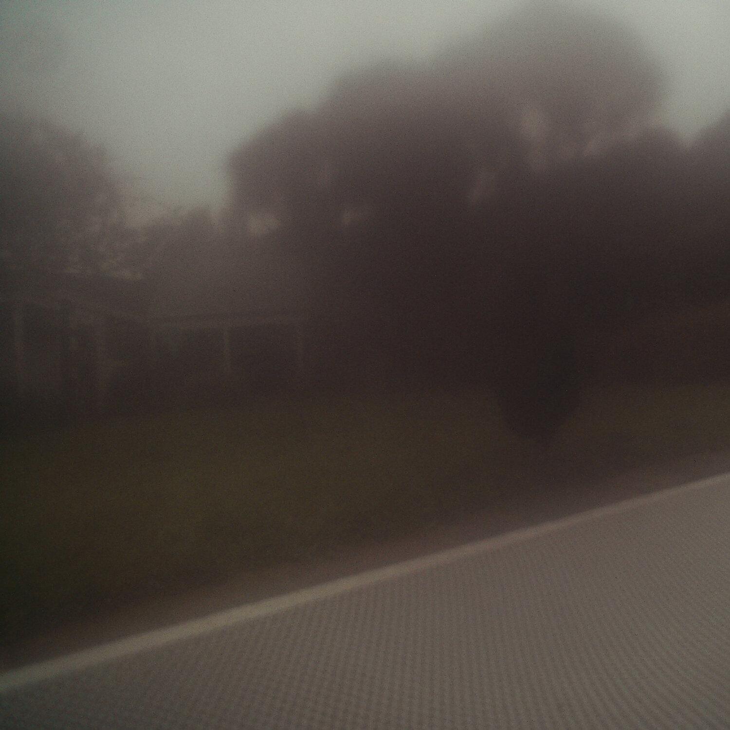 A photo captured from the webcam at the time the audio was recorded