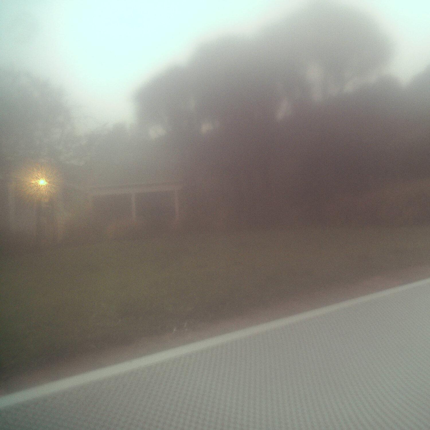 A photo captured from the webcam at the time the audio was recorded