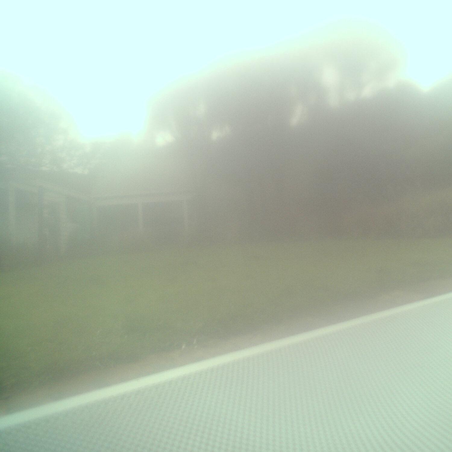 A photo captured from the webcam at the time the audio was recorded
