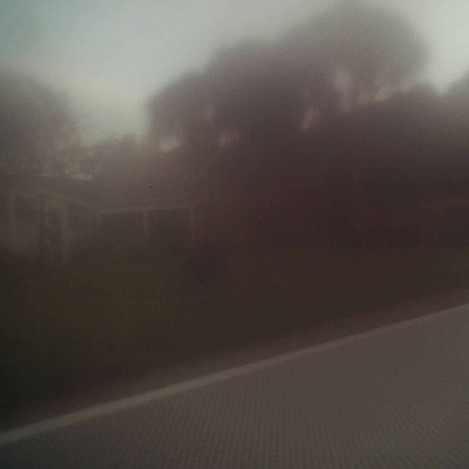 A photo captured from the webcam at the time the audio was recorded