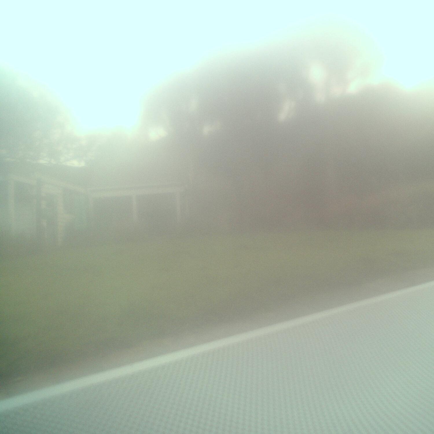 A photo captured from the webcam at the time the audio was recorded