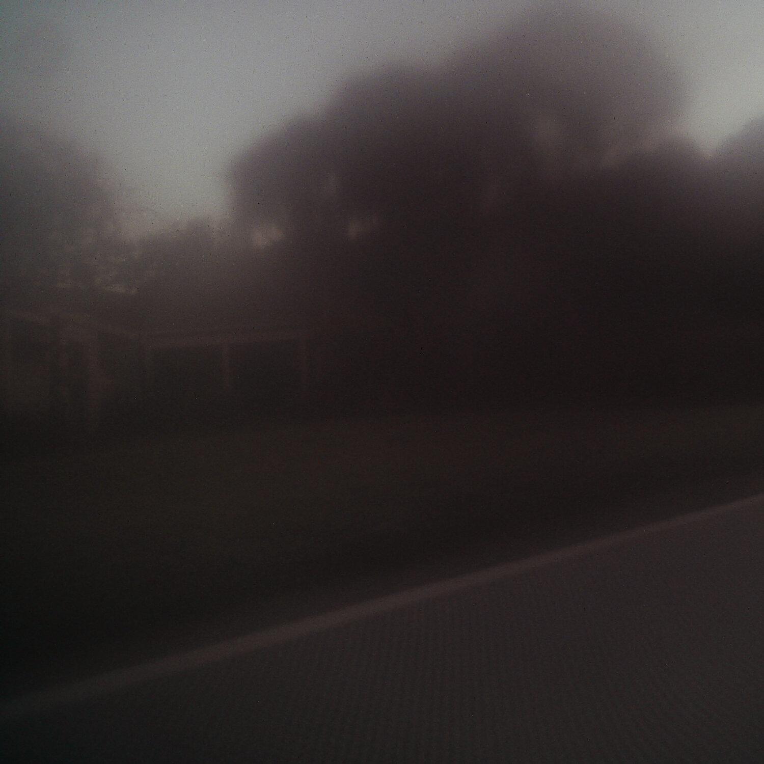 A photo captured from the webcam at the time the audio was recorded