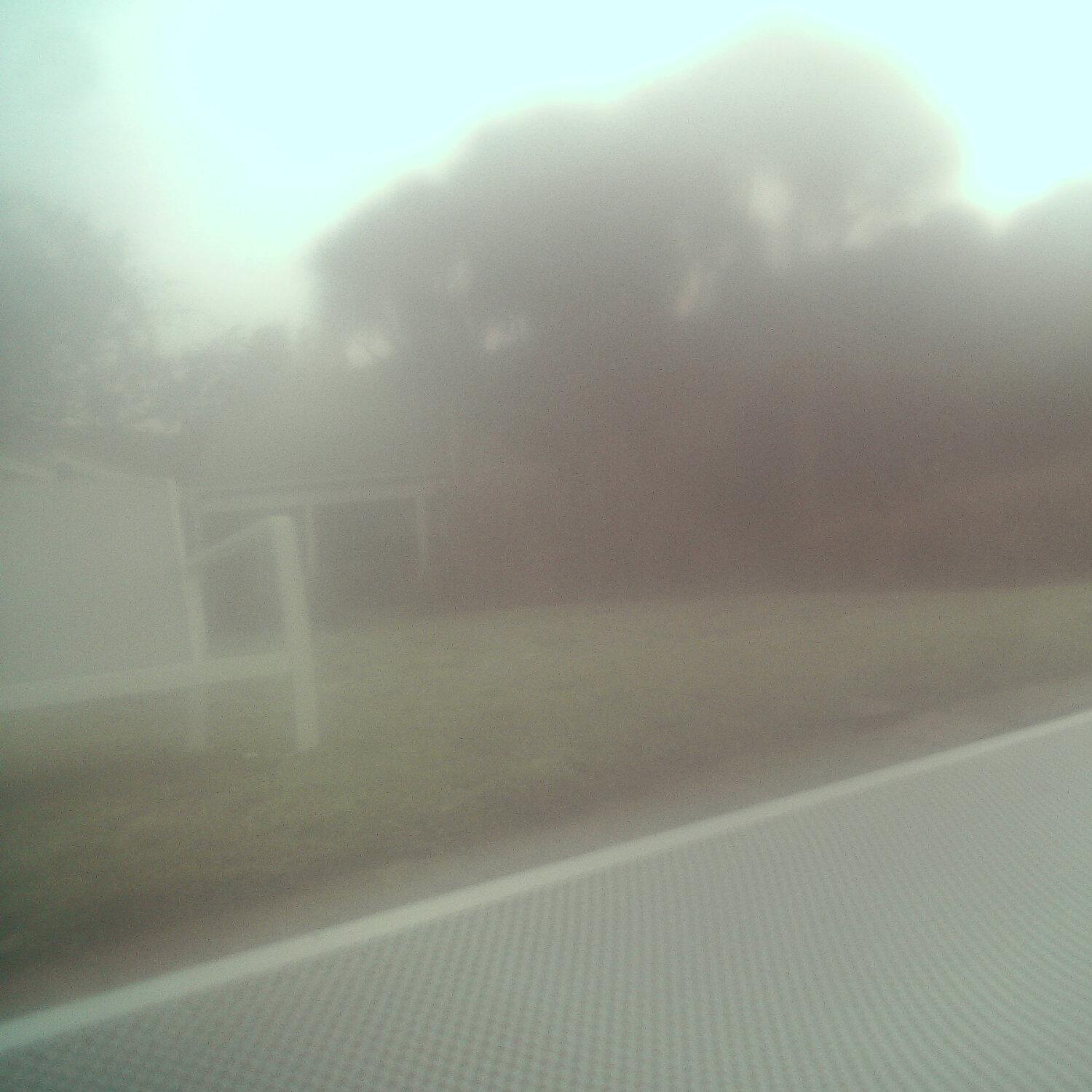 A photo captured from the webcam at the time the audio was recorded