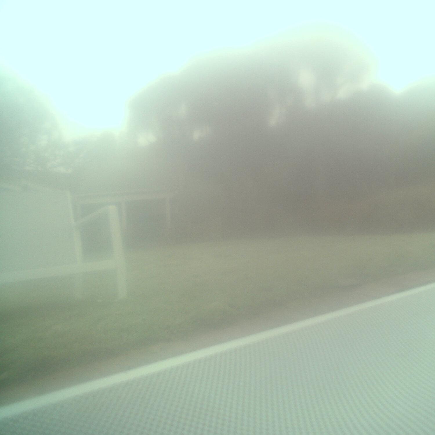 A photo captured from the webcam at the time the audio was recorded