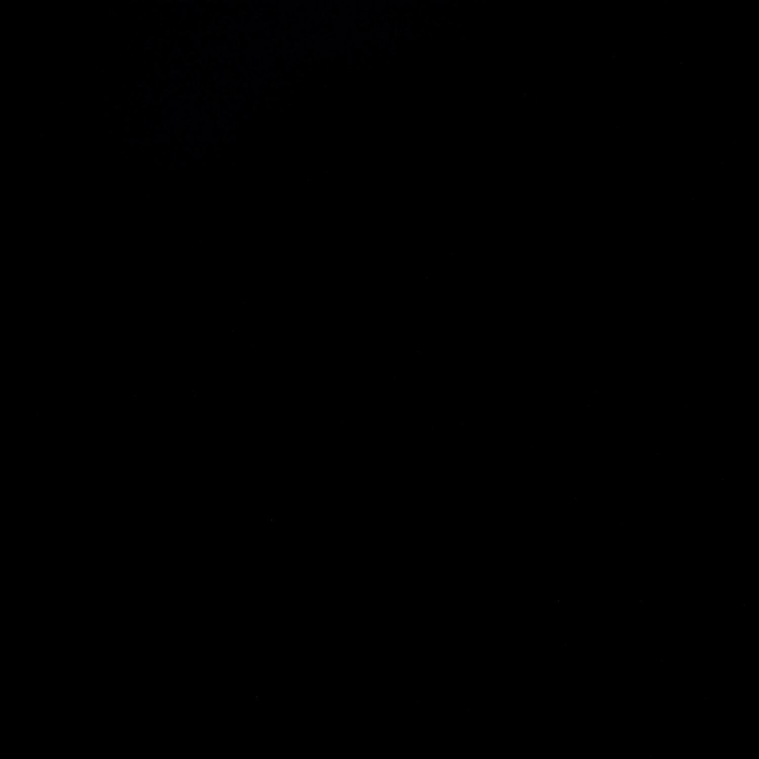 A photo captured from the webcam at the time the audio was recorded