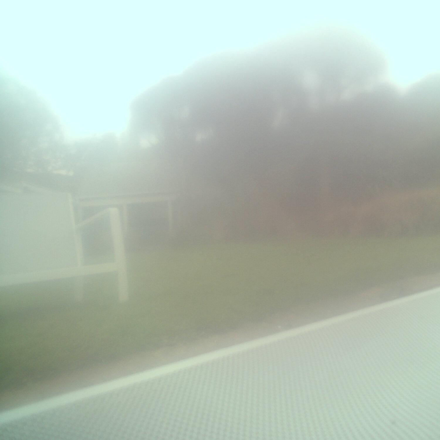 A photo captured from the webcam at the time the audio was recorded