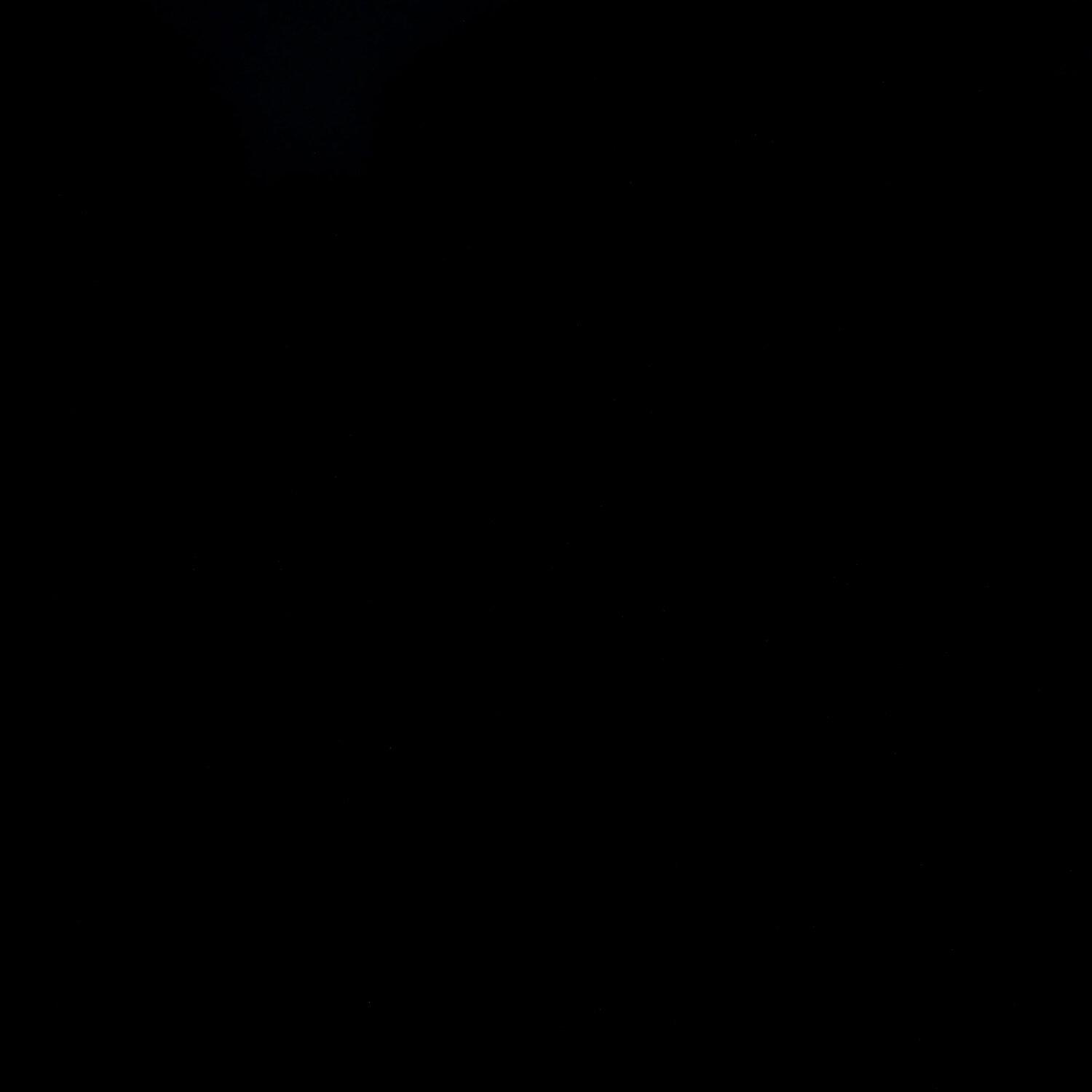 A photo captured from the webcam at the time the audio was recorded