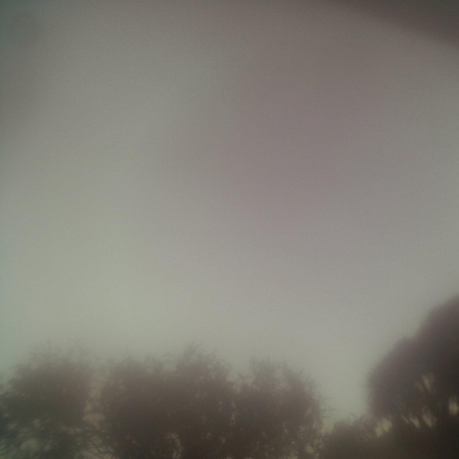 A photo captured from the webcam at the time the audio was recorded