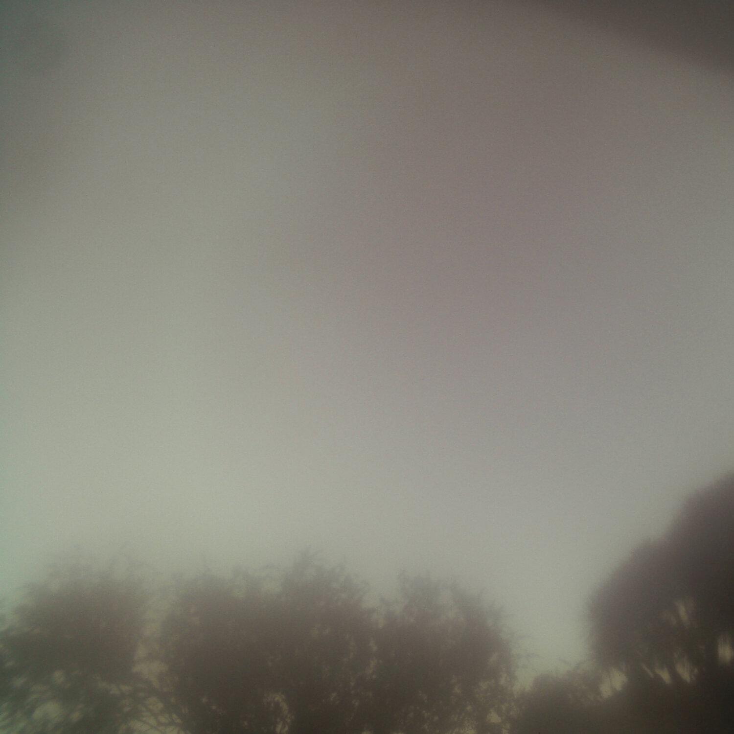 A photo captured from the webcam at the time the audio was recorded