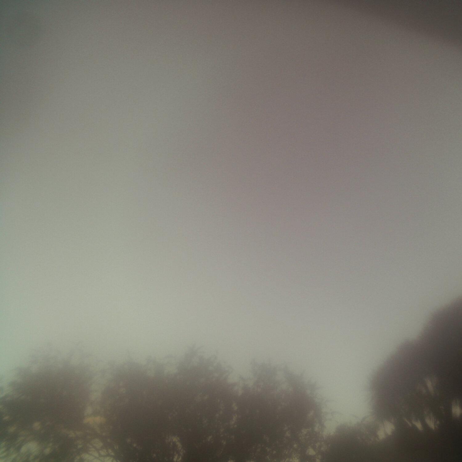 A photo captured from the webcam at the time the audio was recorded