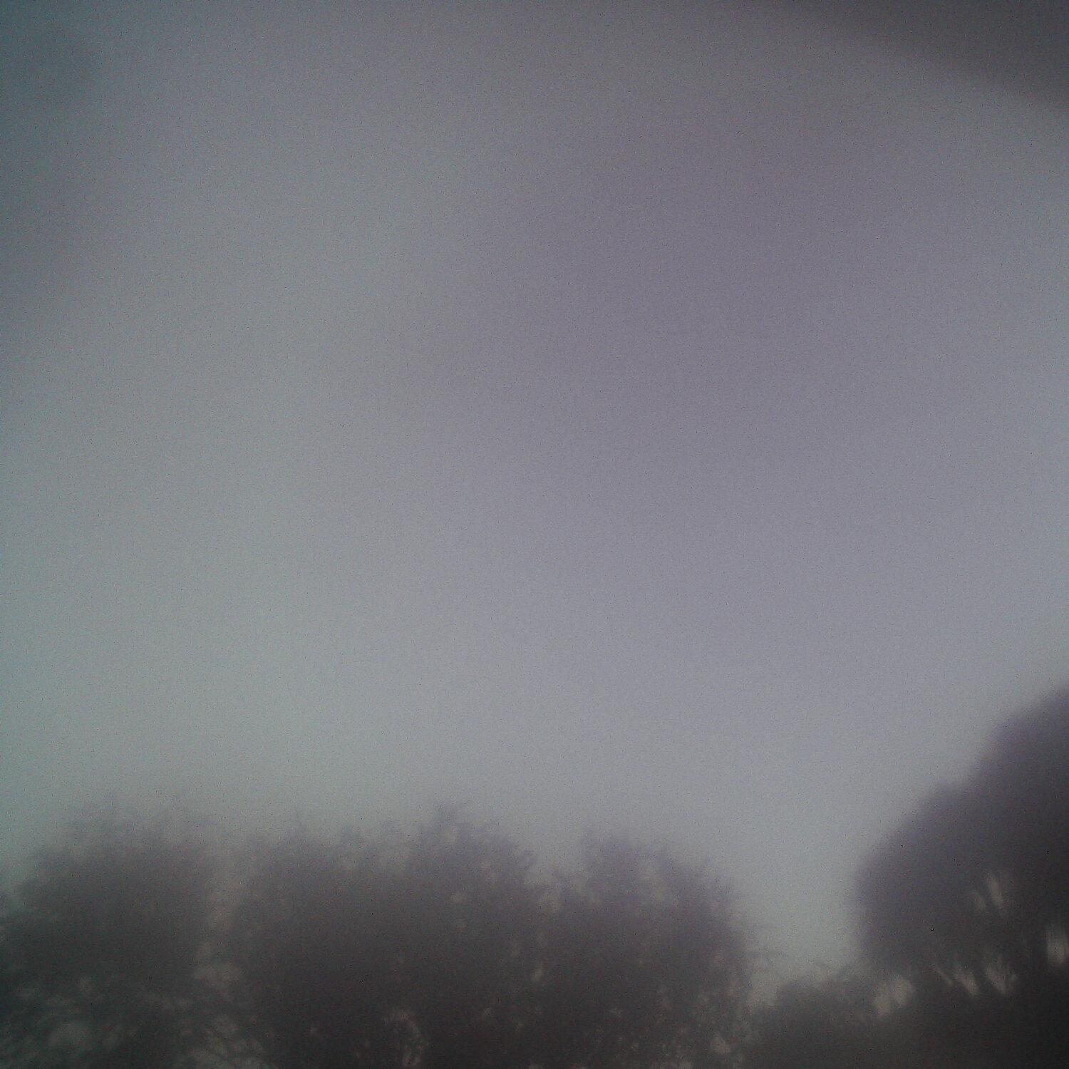 A photo captured from the webcam at the time the audio was recorded