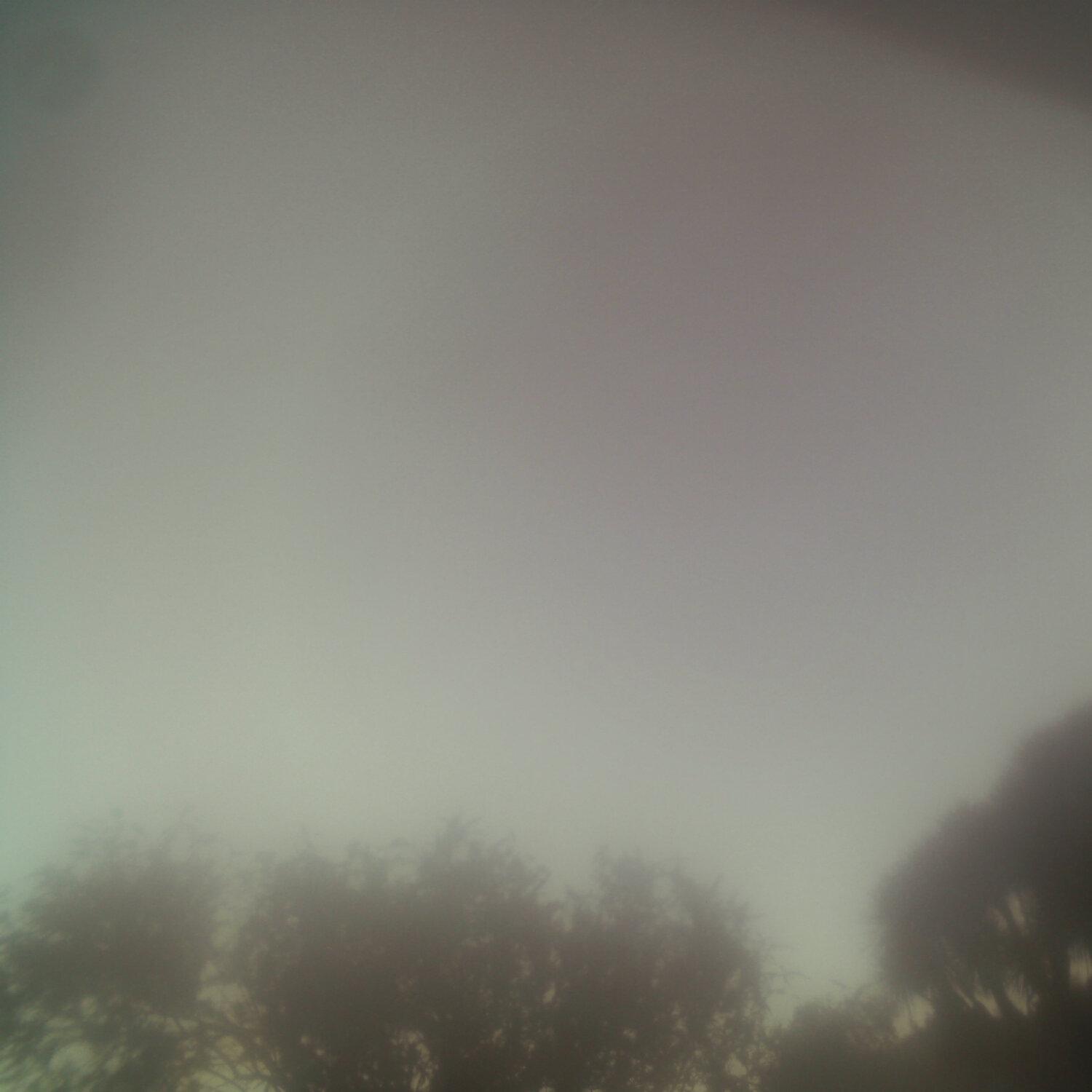 A photo captured from the webcam at the time the audio was recorded