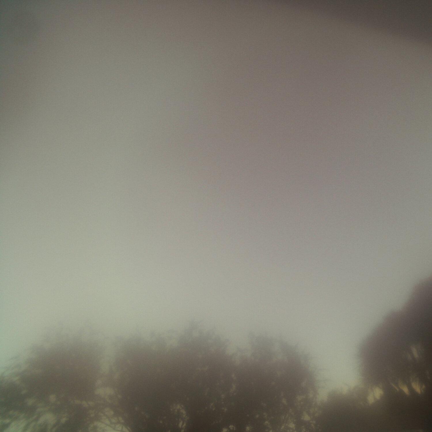 A photo captured from the webcam at the time the audio was recorded