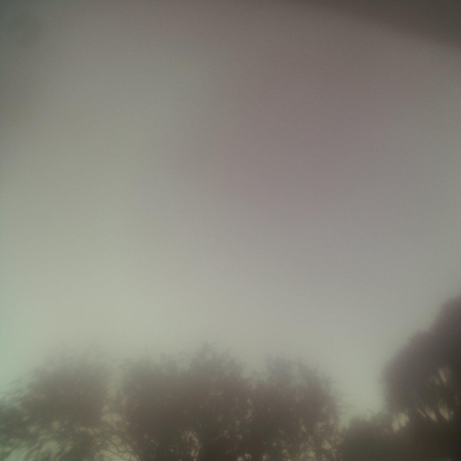 A photo captured from the webcam at the time the audio was recorded