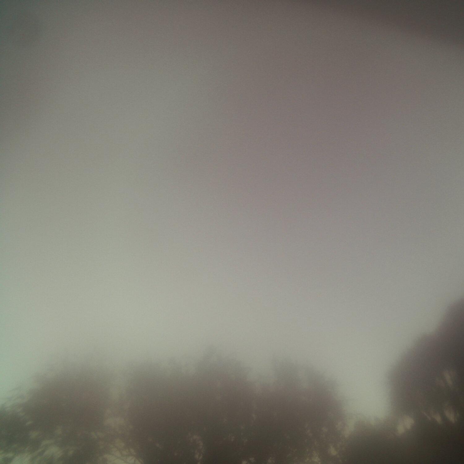 A photo captured from the webcam at the time the audio was recorded