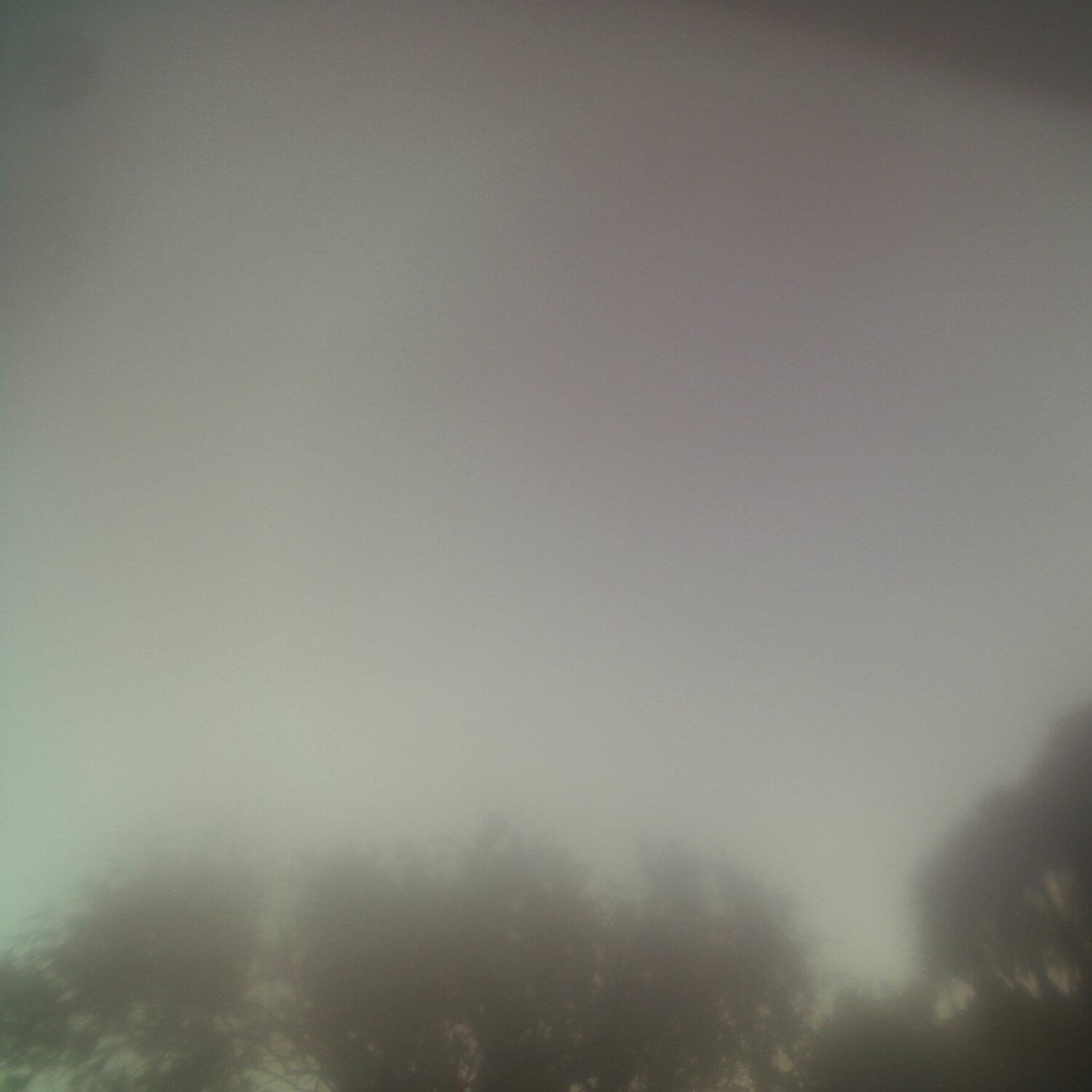 A photo captured from the webcam at the time the audio was recorded
