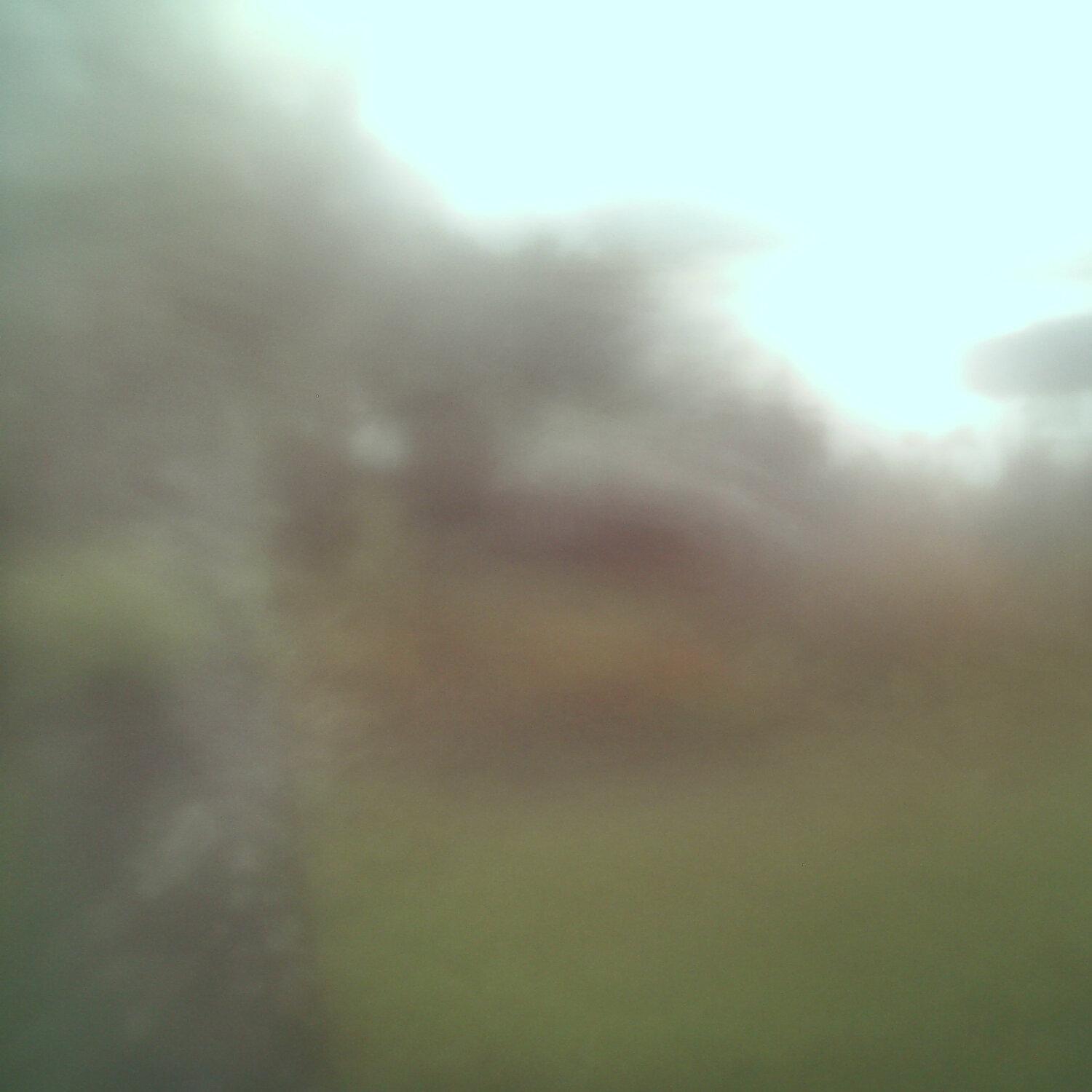 A photo captured from the webcam at the time the audio was recorded