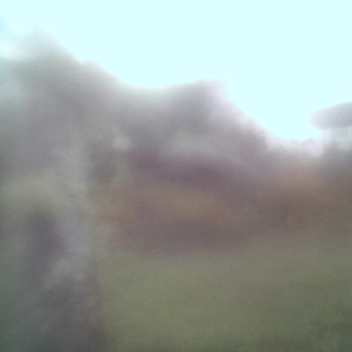 A photo captured from the webcam at the time the audio was recorded