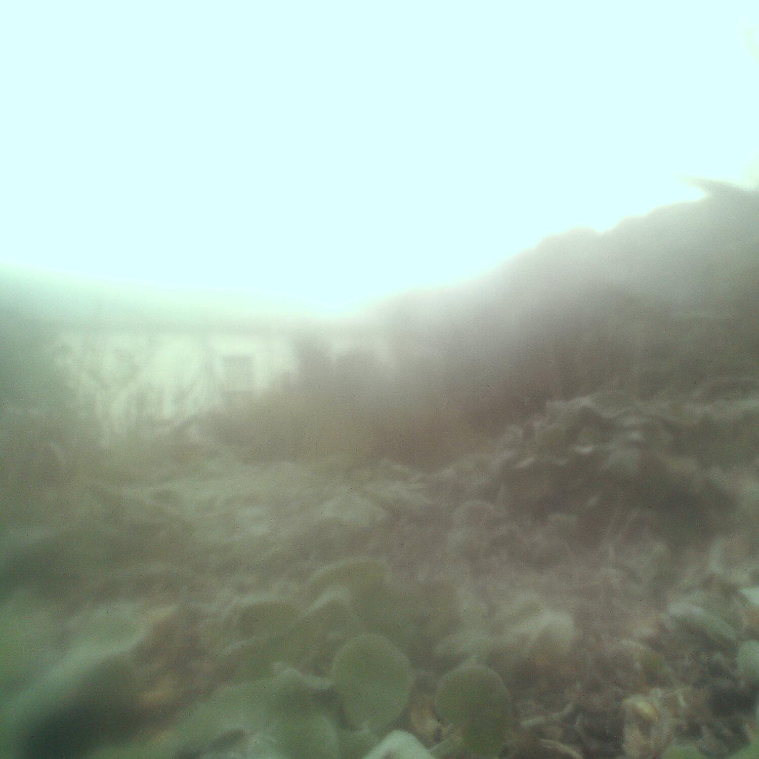 A photo captured from the webcam at the time the audio was recorded