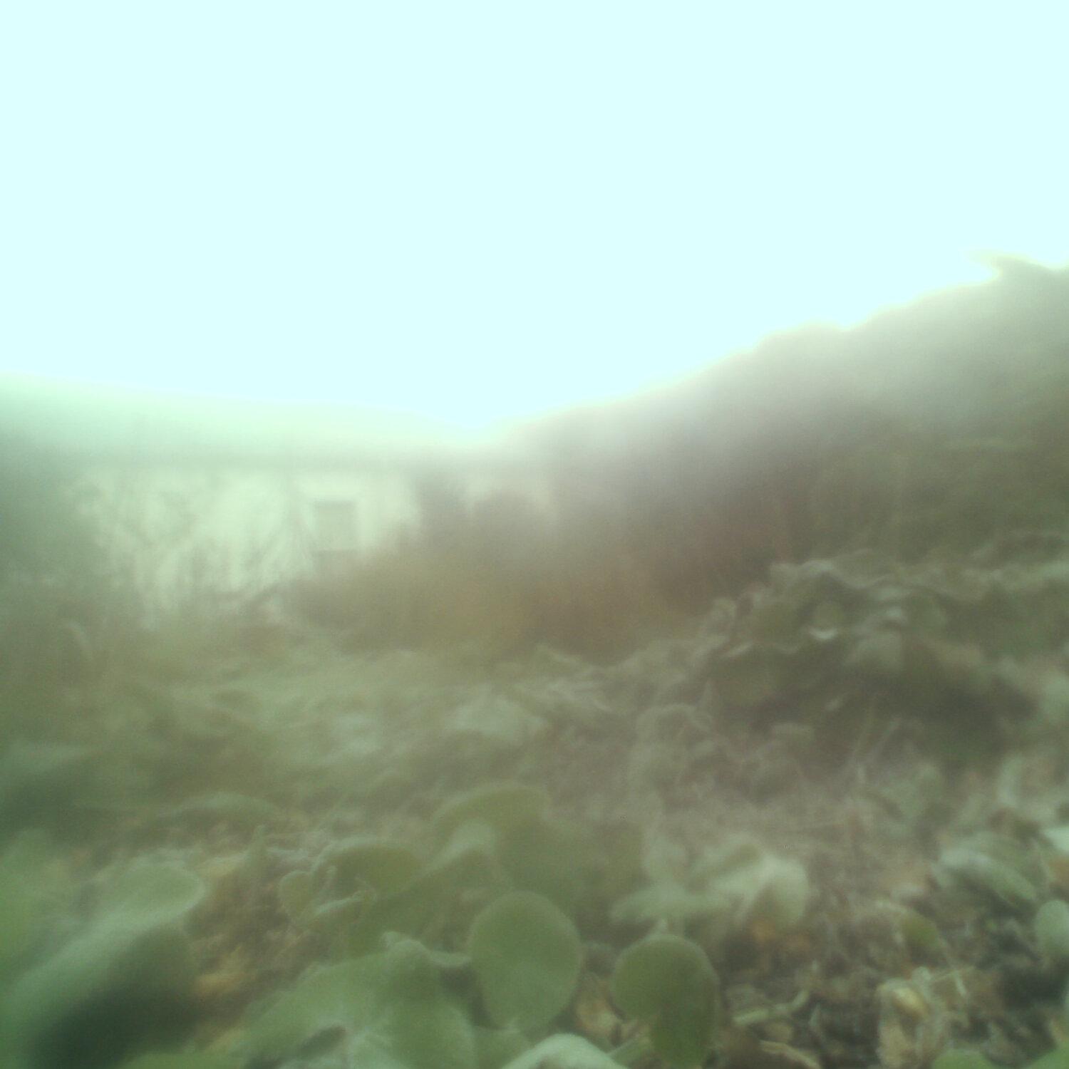 A photo captured from the webcam at the time the audio was recorded