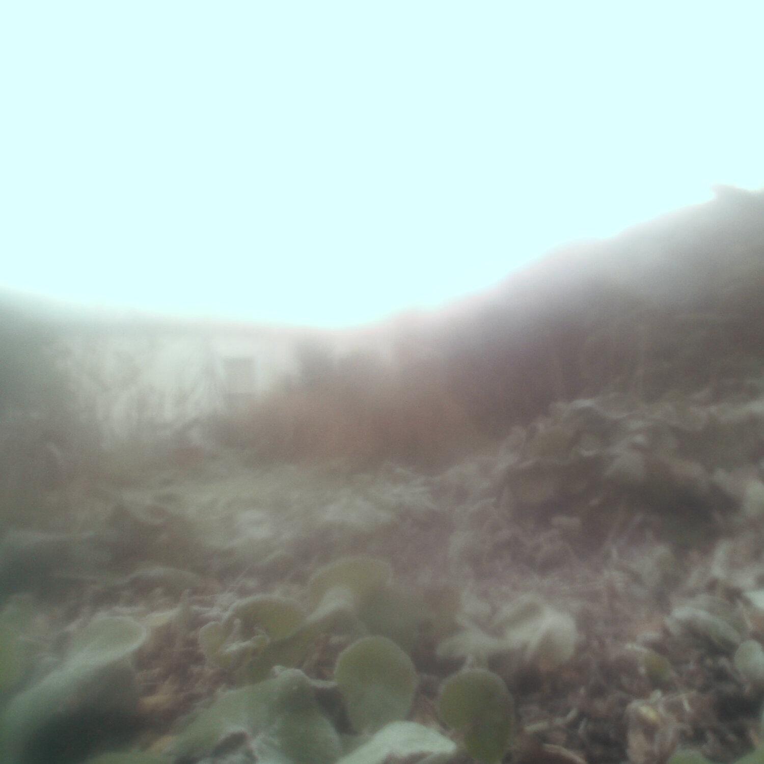 A photo captured from the webcam at the time the audio was recorded
