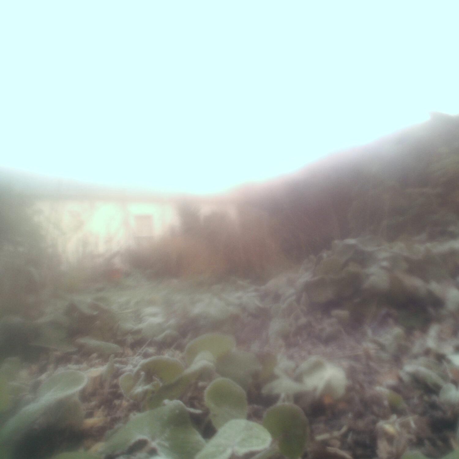 A photo captured from the webcam at the time the audio was recorded