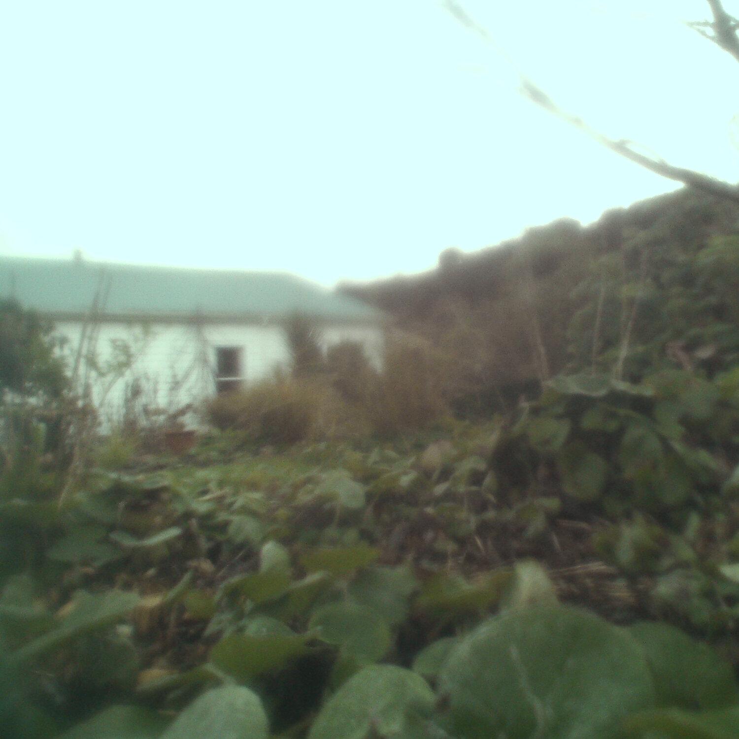 A photo captured from the webcam at the time the audio was recorded