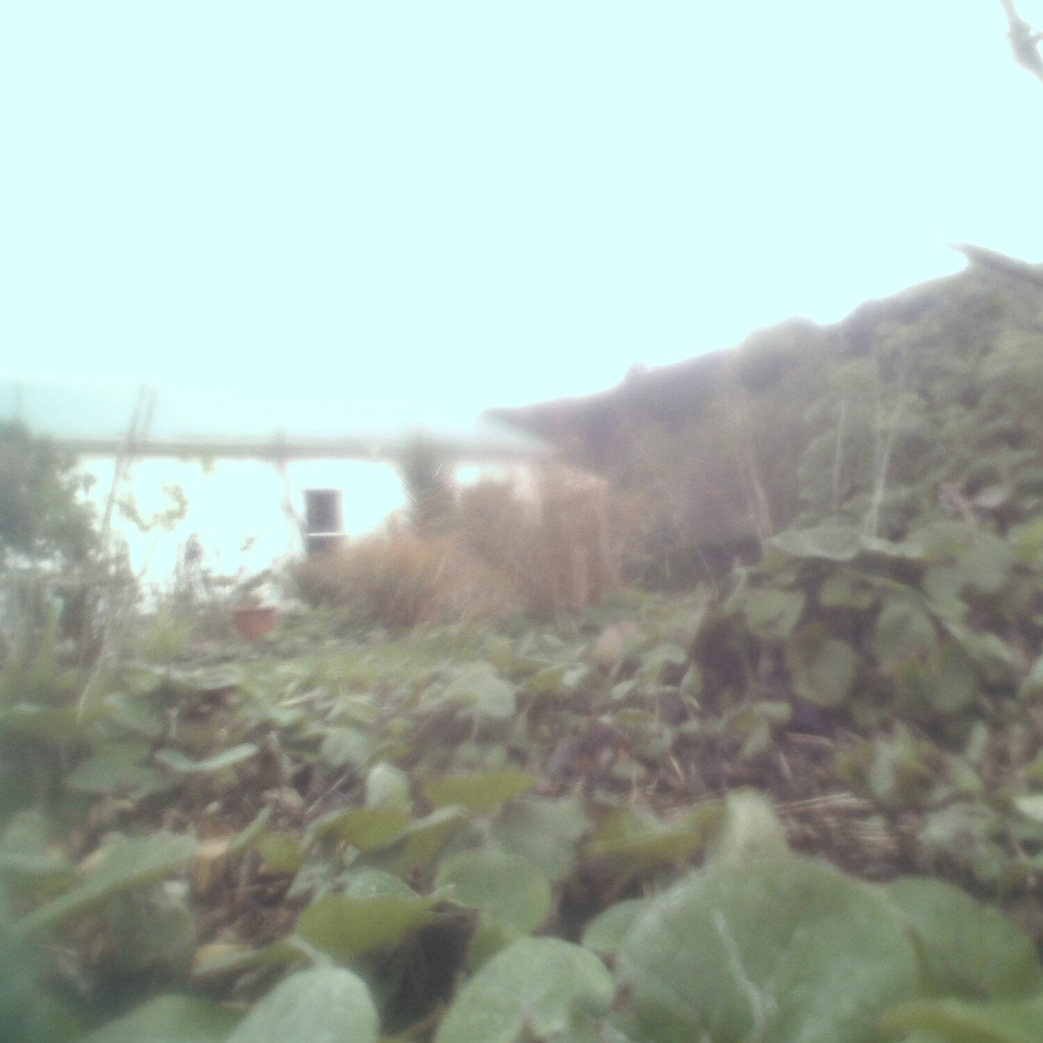 A photo captured from the webcam at the time the audio was recorded