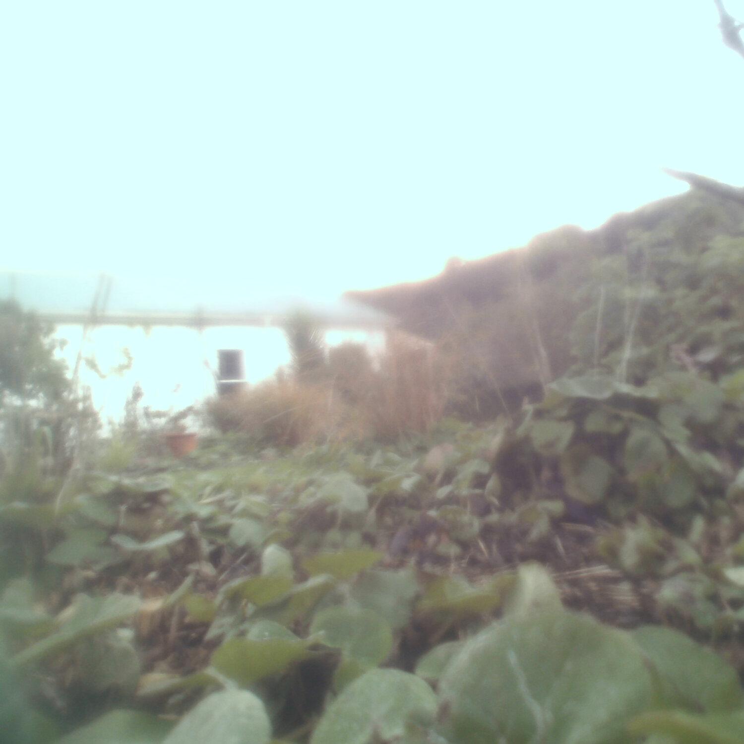 A photo captured from the webcam at the time the audio was recorded