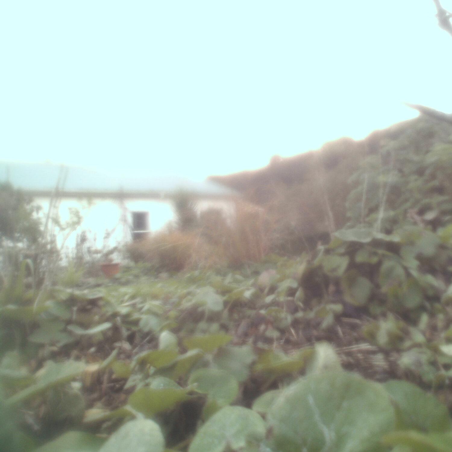 A photo captured from the webcam at the time the audio was recorded