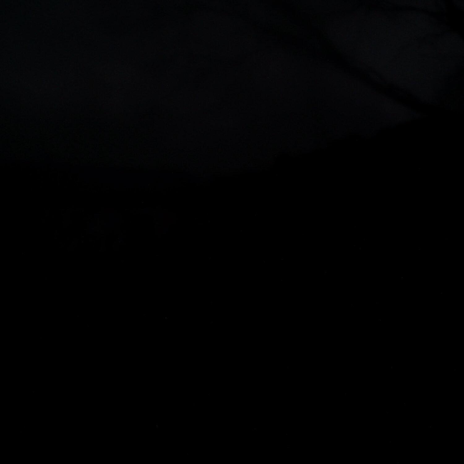 A photo captured from the webcam at the time the audio was recorded