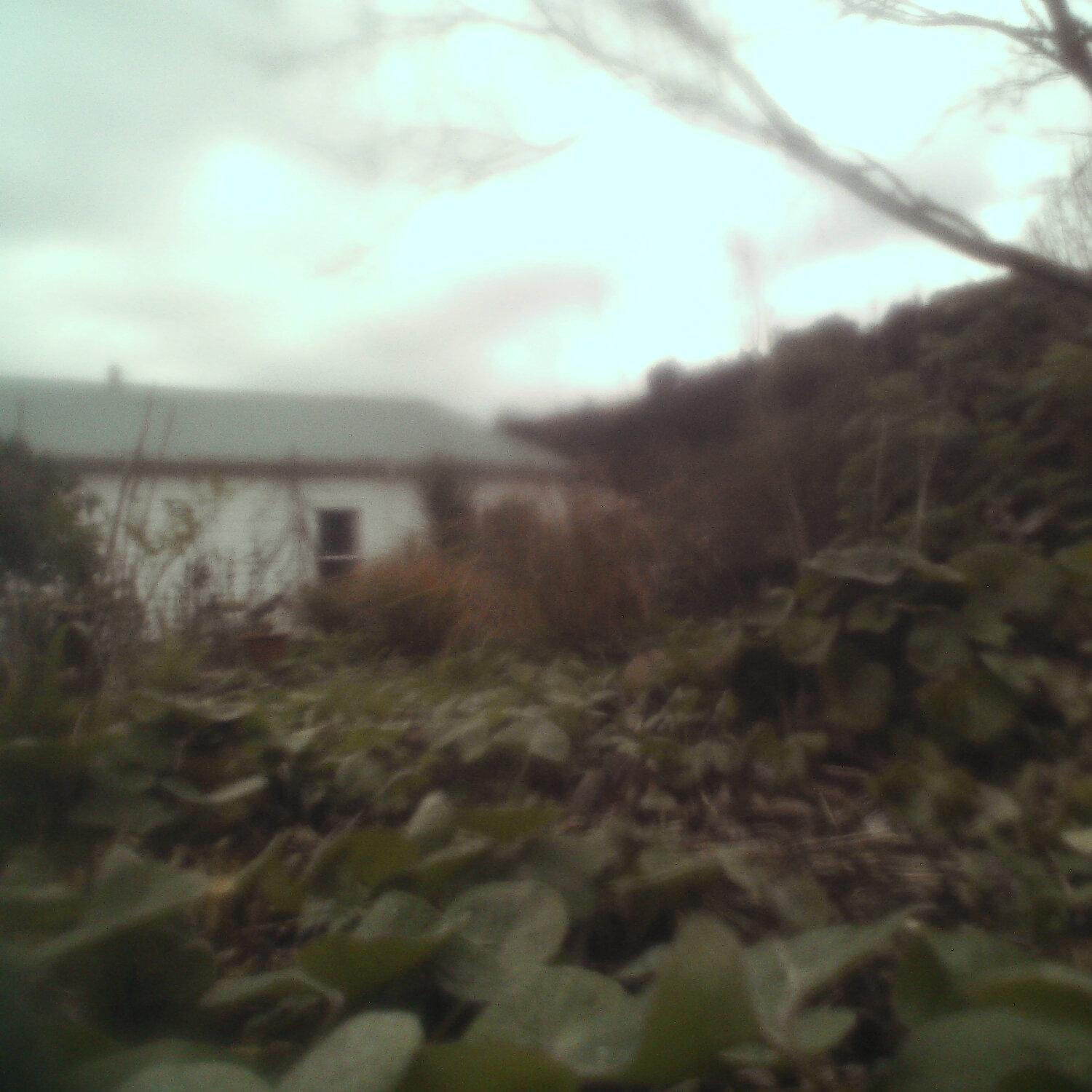 A photo captured from the webcam at the time the audio was recorded