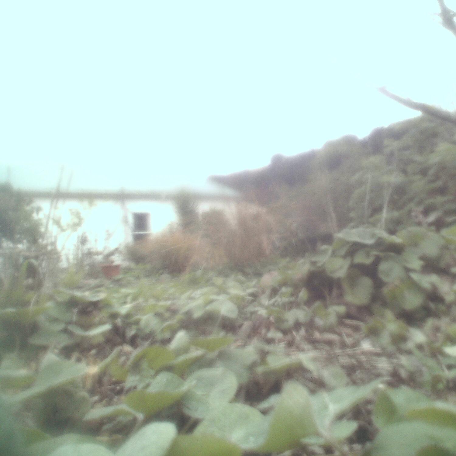 A photo captured from the webcam at the time the audio was recorded