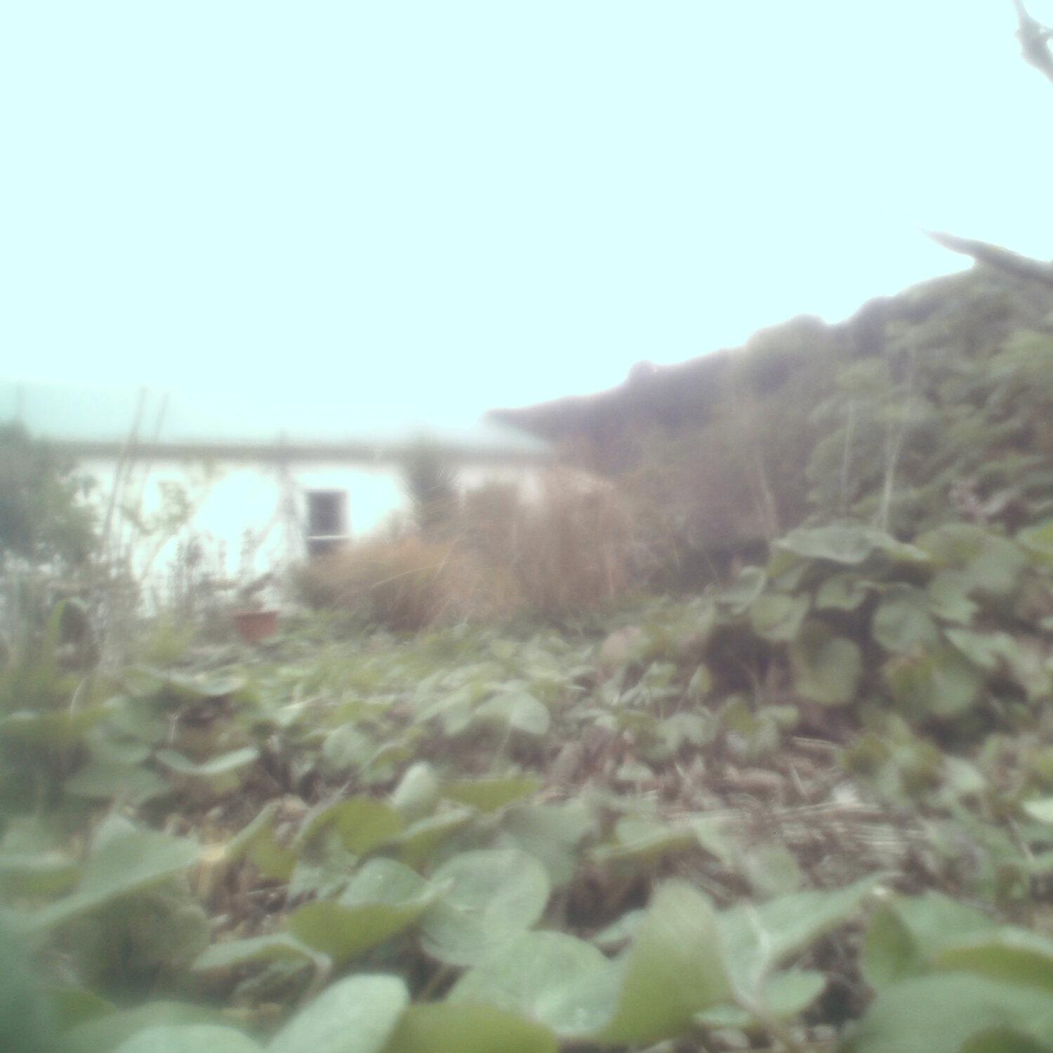 A photo captured from the webcam at the time the audio was recorded