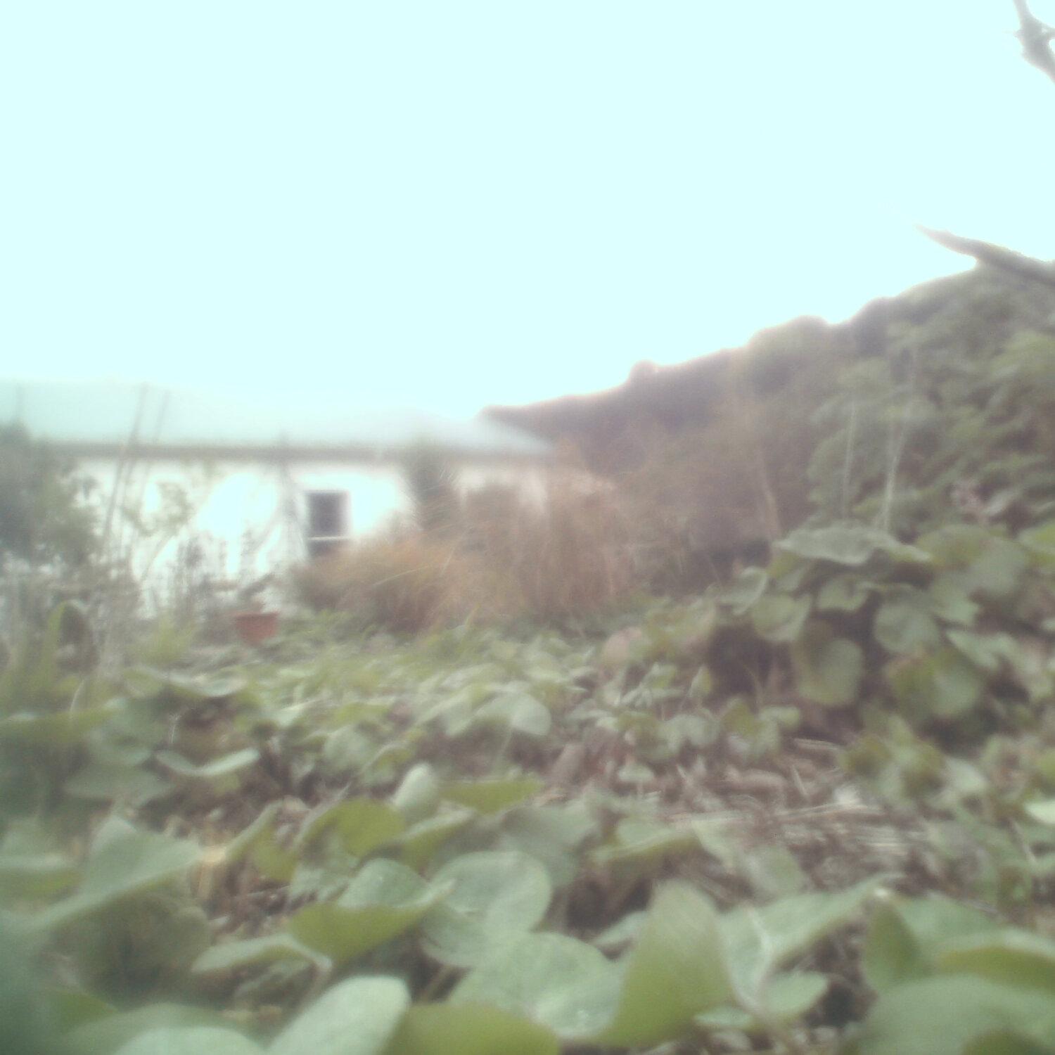 A photo captured from the webcam at the time the audio was recorded