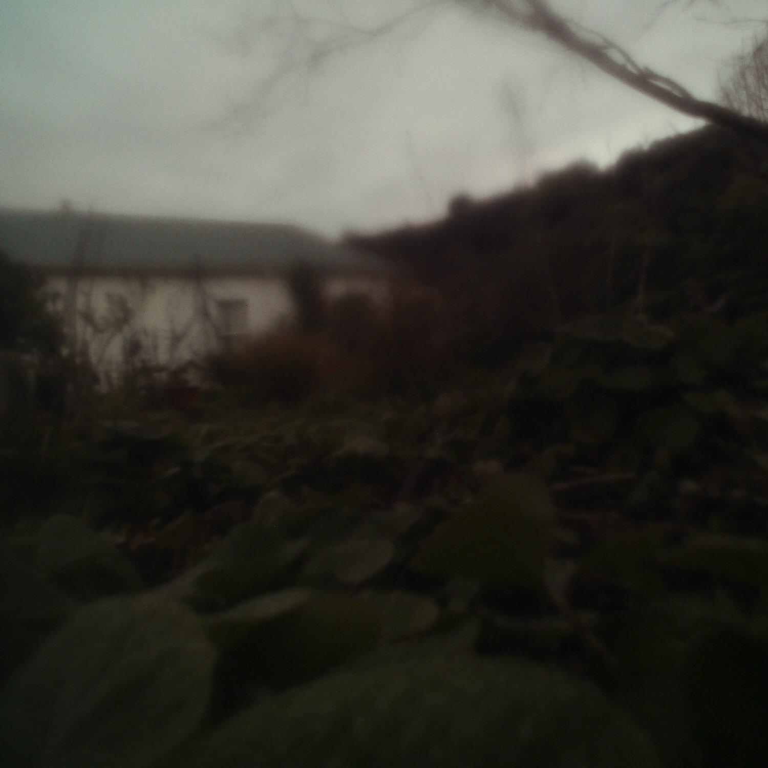 A photo captured from the webcam at the time the audio was recorded