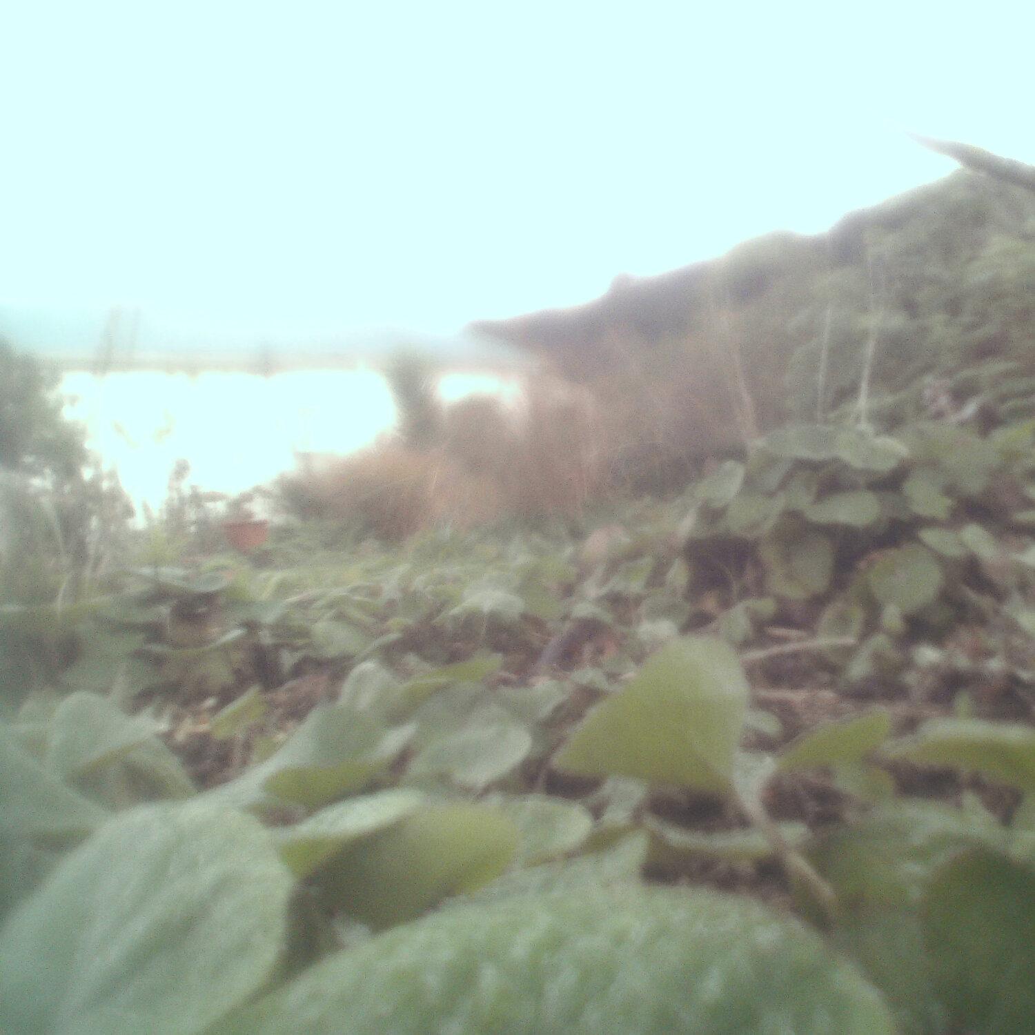 A photo captured from the webcam at the time the audio was recorded