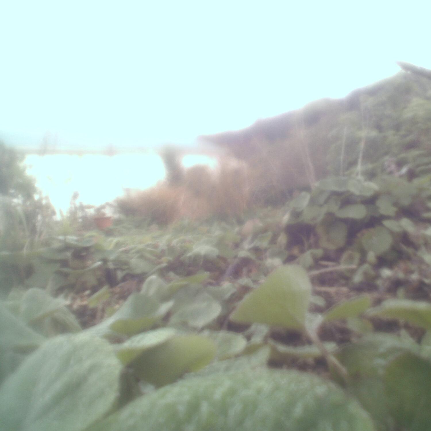 A photo captured from the webcam at the time the audio was recorded