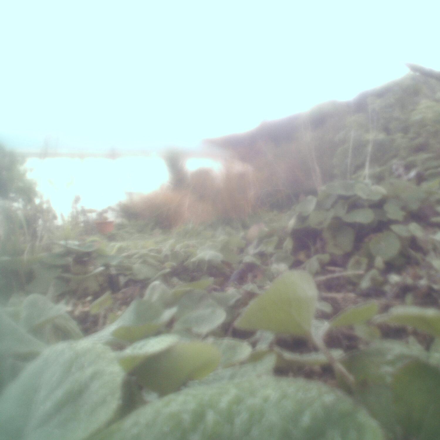 A photo captured from the webcam at the time the audio was recorded