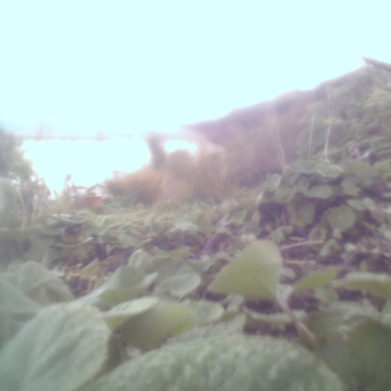 A photo captured from the webcam at the time the audio was recorded