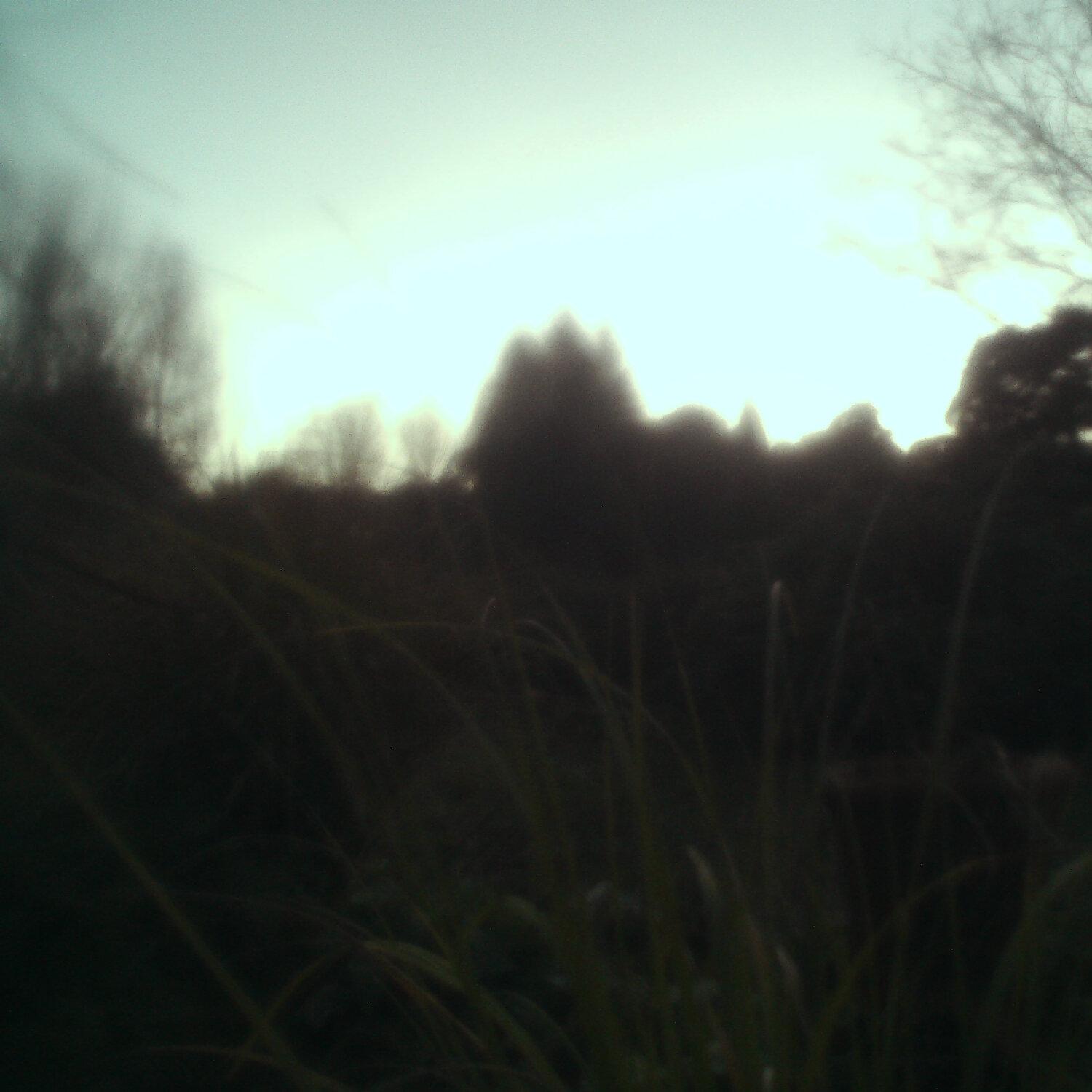 A photo captured from the webcam at the time the audio was recorded