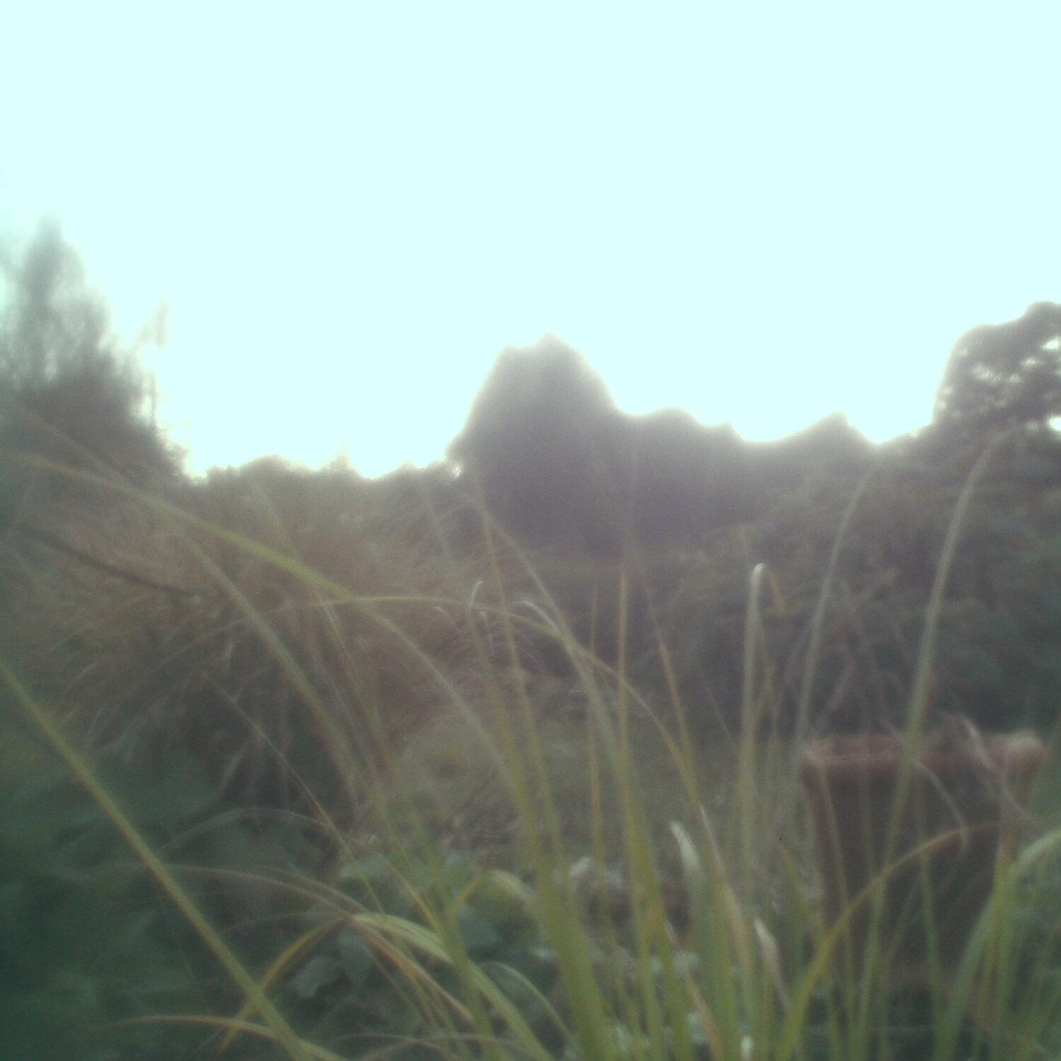 A photo captured from the webcam at the time the audio was recorded