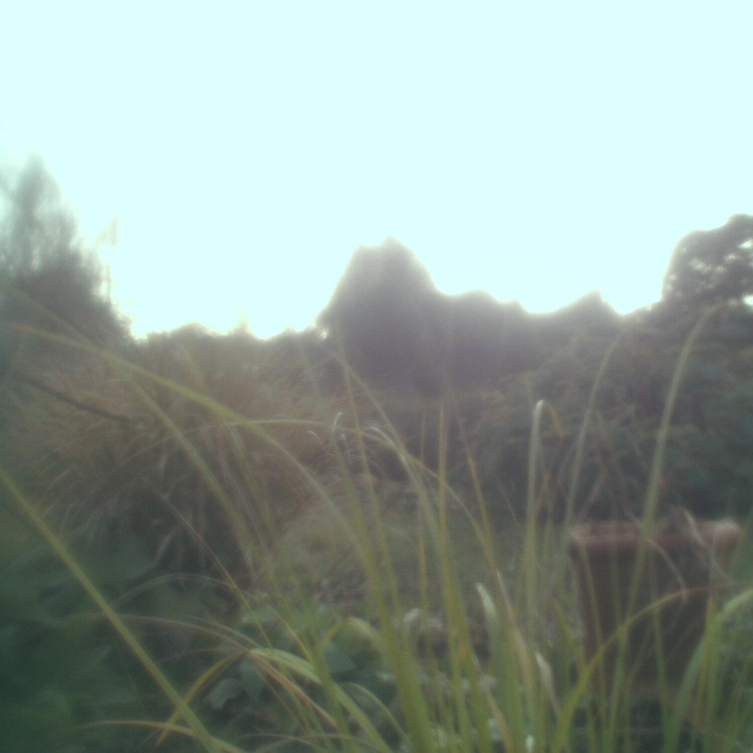 A photo captured from the webcam at the time the audio was recorded